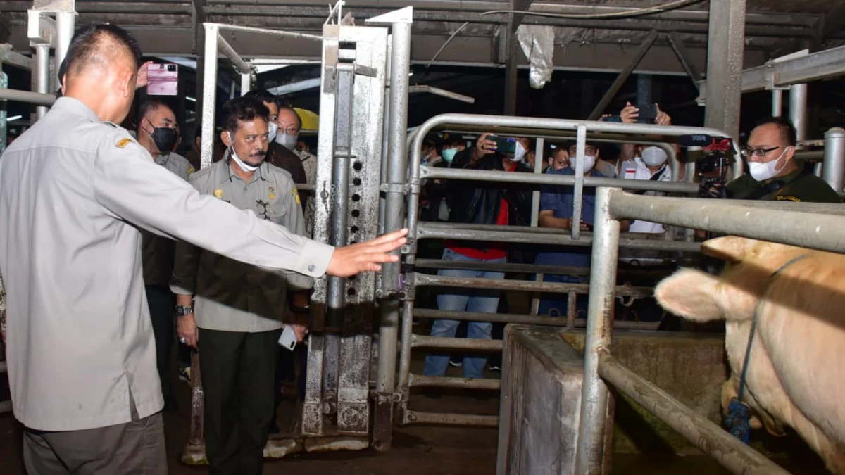 Kementan Awasi Keamanan dan Stok Daging Jelang Lebaran