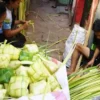 Peminat Kulit Ketupat Menurun Drastis