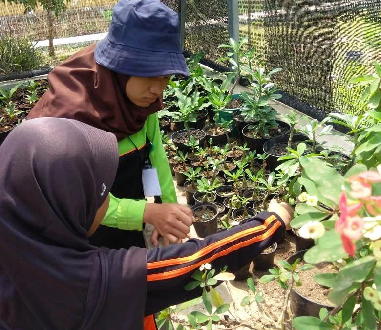 Jurusan Pertanian Tetap Menjanjikan, Meskipun Daerah Menuju Industrialisasi