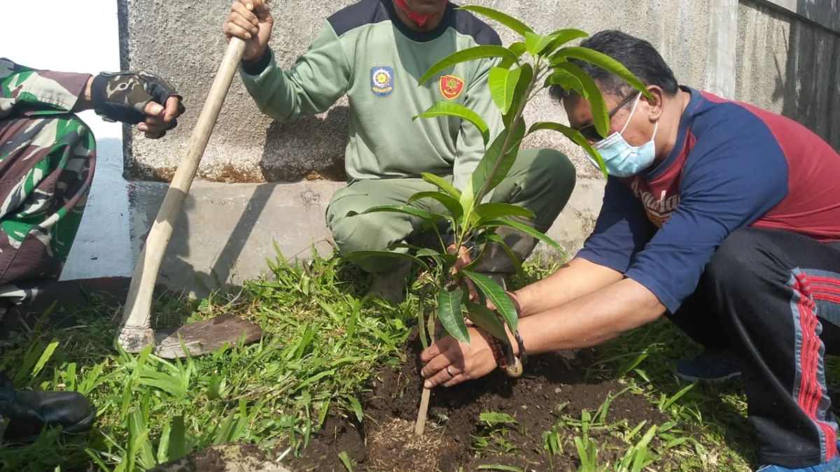 Penghijauan, Pemerintah Desa Gudang Kahuripan Tanam Ratusan Pohon Buah-buahan