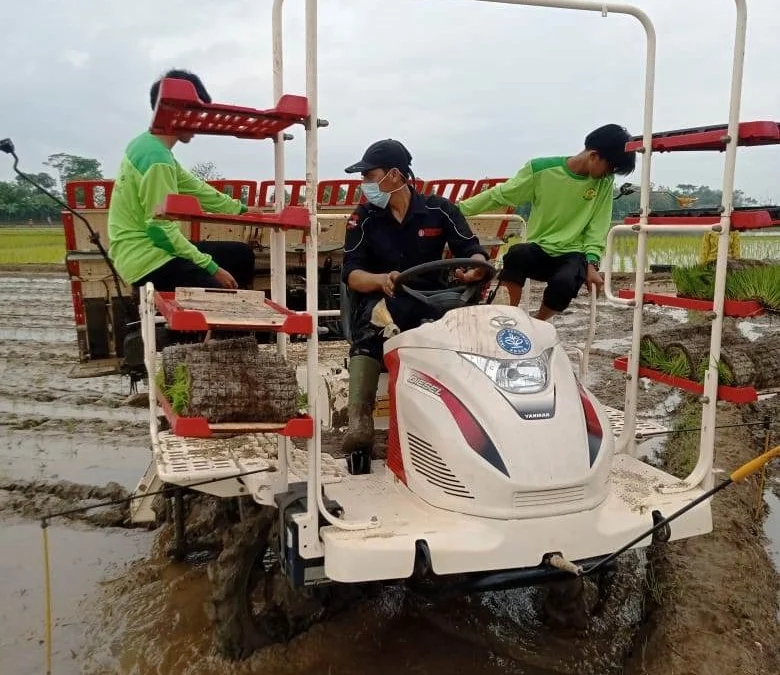 Desa Kiarasari subang