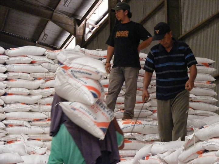 Harga Gabah Anjlok,Bulog Pastikan Stok Tetap Aman