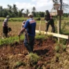 Program Percepatan Peningkatan tata Guna Air Irigasi