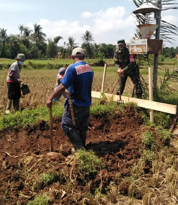 Program Percepatan Peningkatan tata Guna Air Irigasi