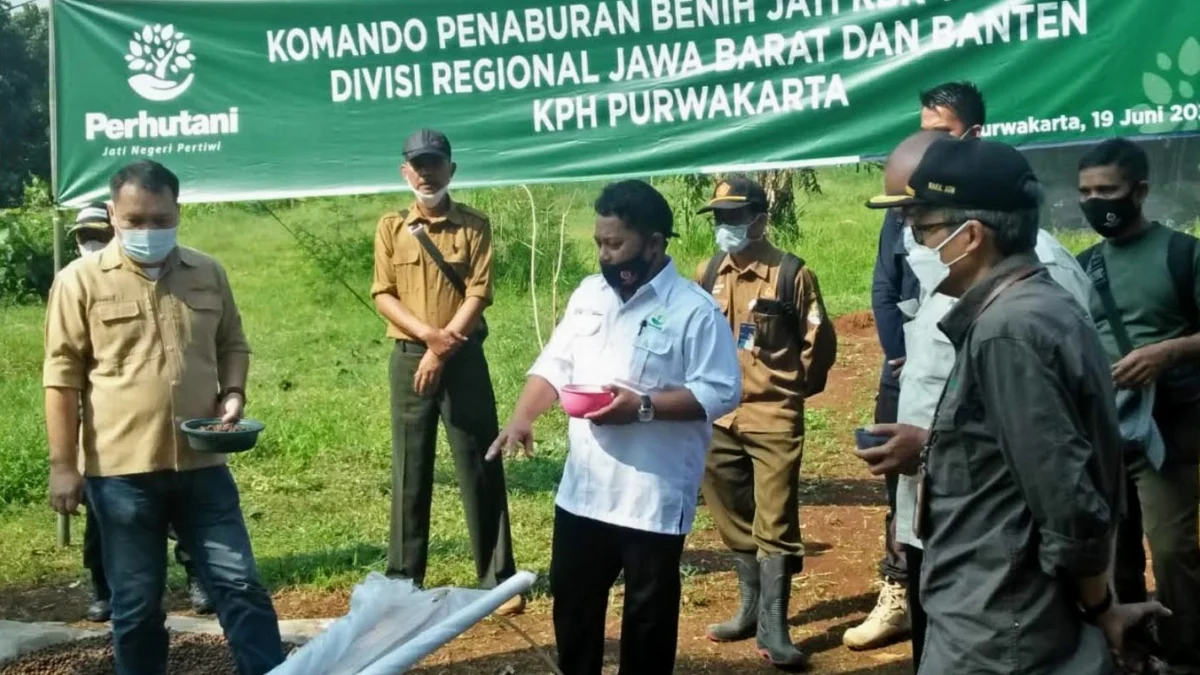 Jati KBK Diharapkan Bisa Penuhi Kebutuhan Bibit