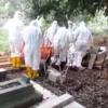 Peti Mati Korban Covid-19 Habi