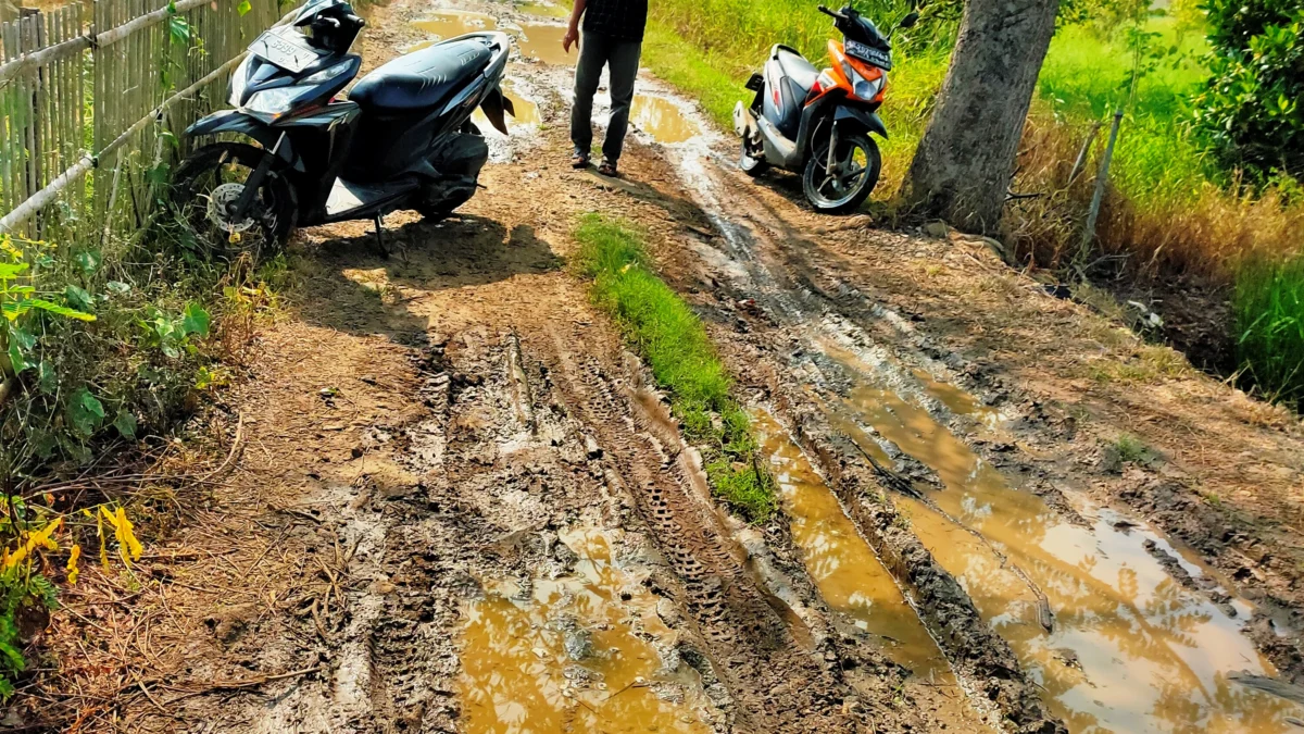 Kepala Desa Cilamaya Girang Casdam