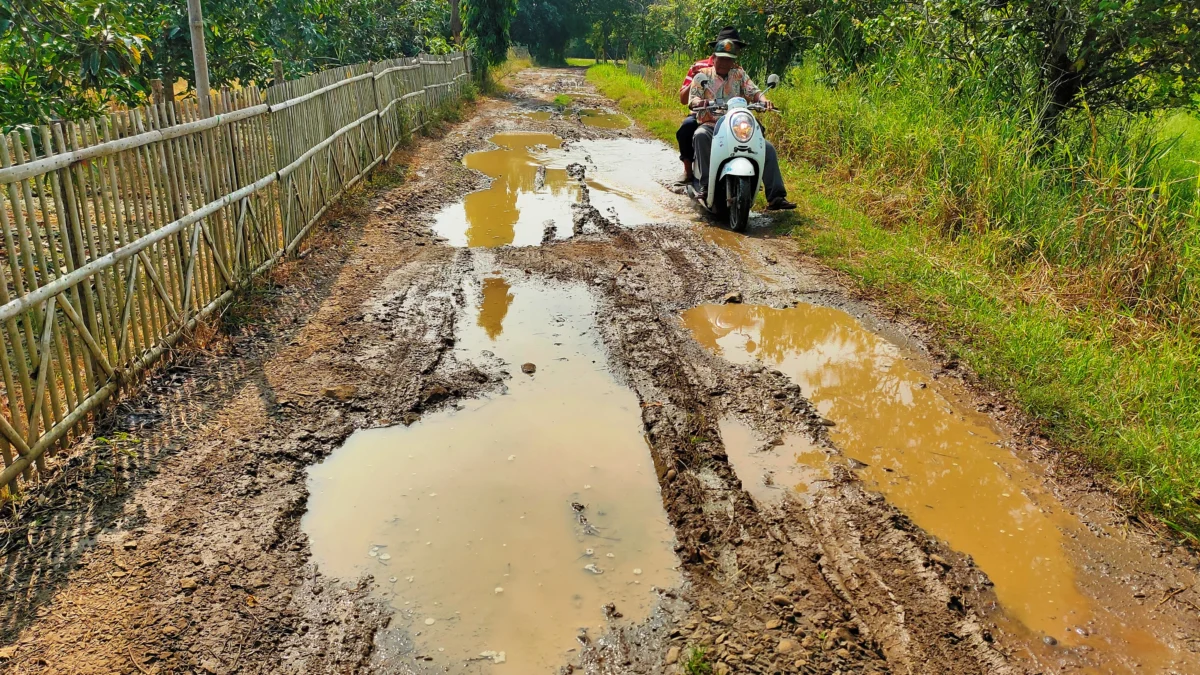 Pelabuhan Patimban Akan Kedatangan Kapal Tol Laut, KSOP Optimalisasi Konektivitas