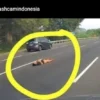 Ngeri!!! Pria Ini Tiduran Santuy di Jalan Tol, Jadi Viral