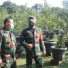 Atasi Krisis Pangan Ala TNI dengan Bios 44