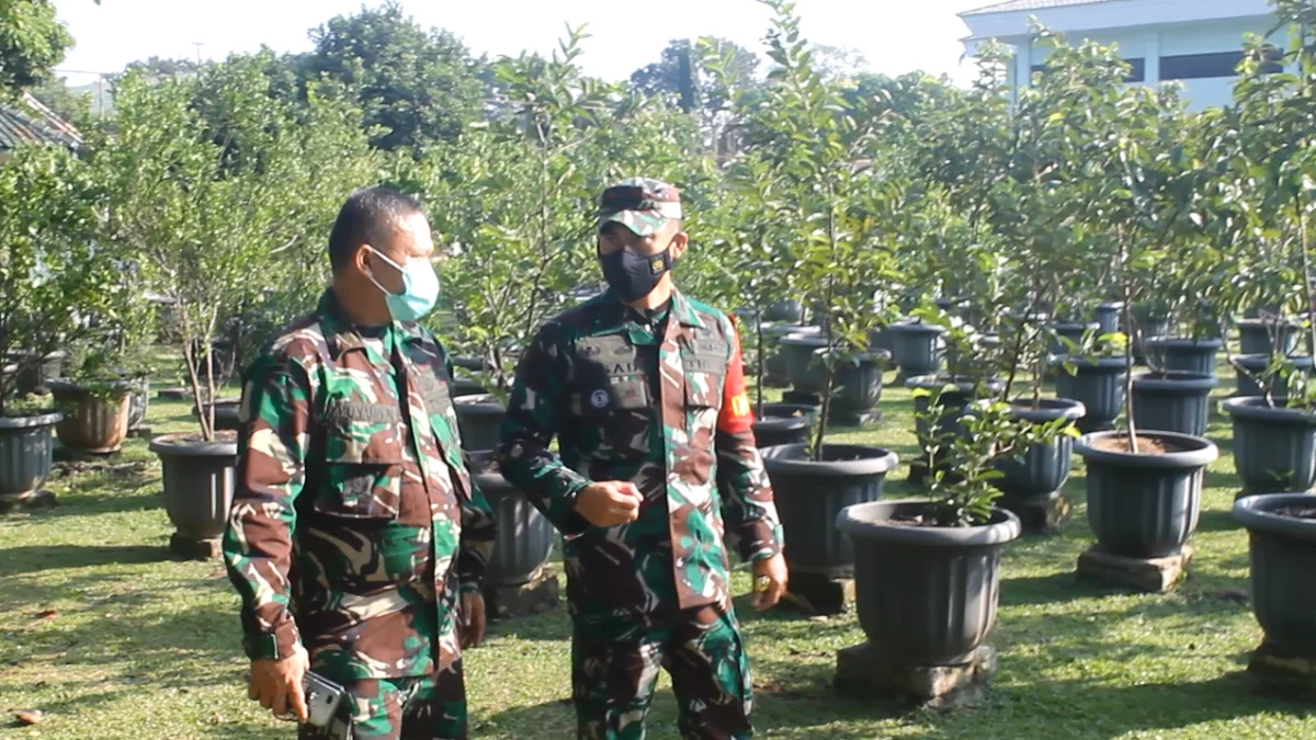 Atasi Krisis Pangan Ala TNI dengan Bios 44