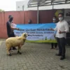 Sambut Iduladha, FIFGROUP Tebar 373 Kambing dan 3 Sapi Senilai Rp1,2 M