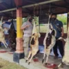 Sat Brimob Bagikan Daging Kurban Untuk Warga Terdampak PPKM