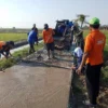 Bangun Jalan Usaha Tani dan Poros Desa