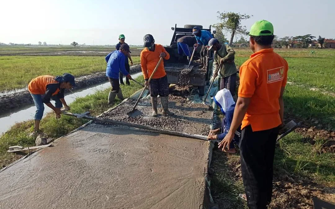 Bangun Jalan Usaha Tani dan Poros Desa