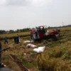 Musim Panen Harga Gabah Anjlok, Kadistan Langsung Surati Bulog