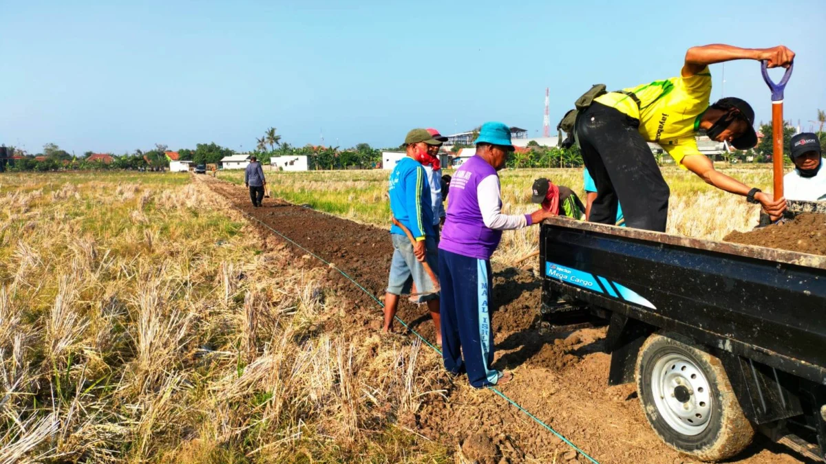 Dukung Sektor Pertanian Pemdes Jatireja Bangun Jalan