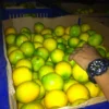 Lemon dan Jahe Dipercaya Dapat Tingkatkan Imunitas