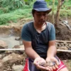 Penampakan Koin Zaman Kolonial Belanda Gegerkan Warga Bandung Barat