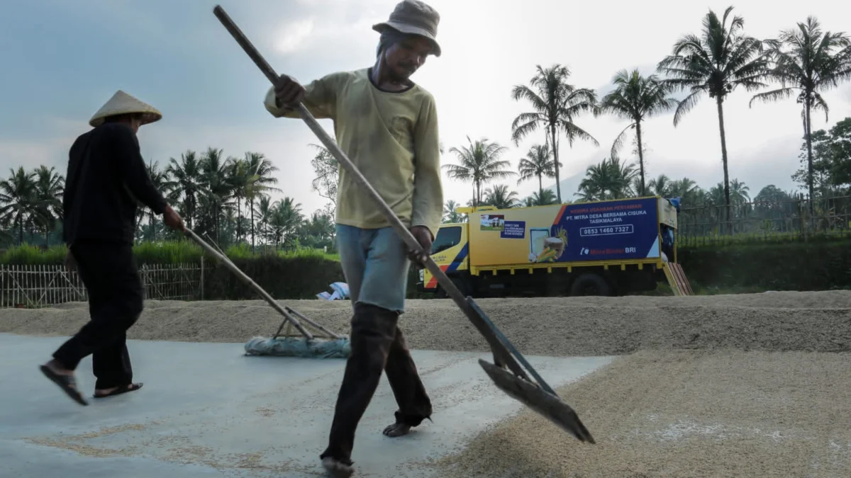 Kredit Pertanian BRI Tembus Rp117,54 Triliun, Pembiayaan Rice Mill Jangkau Lebih dari 40 Ribu Nasabah