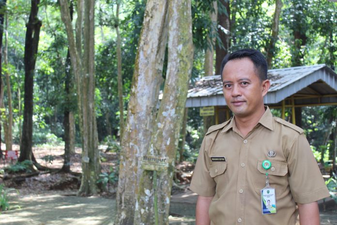 Asik! Bakal Ada Rusa dan Kijang di Hutan Kota Ranggawulung