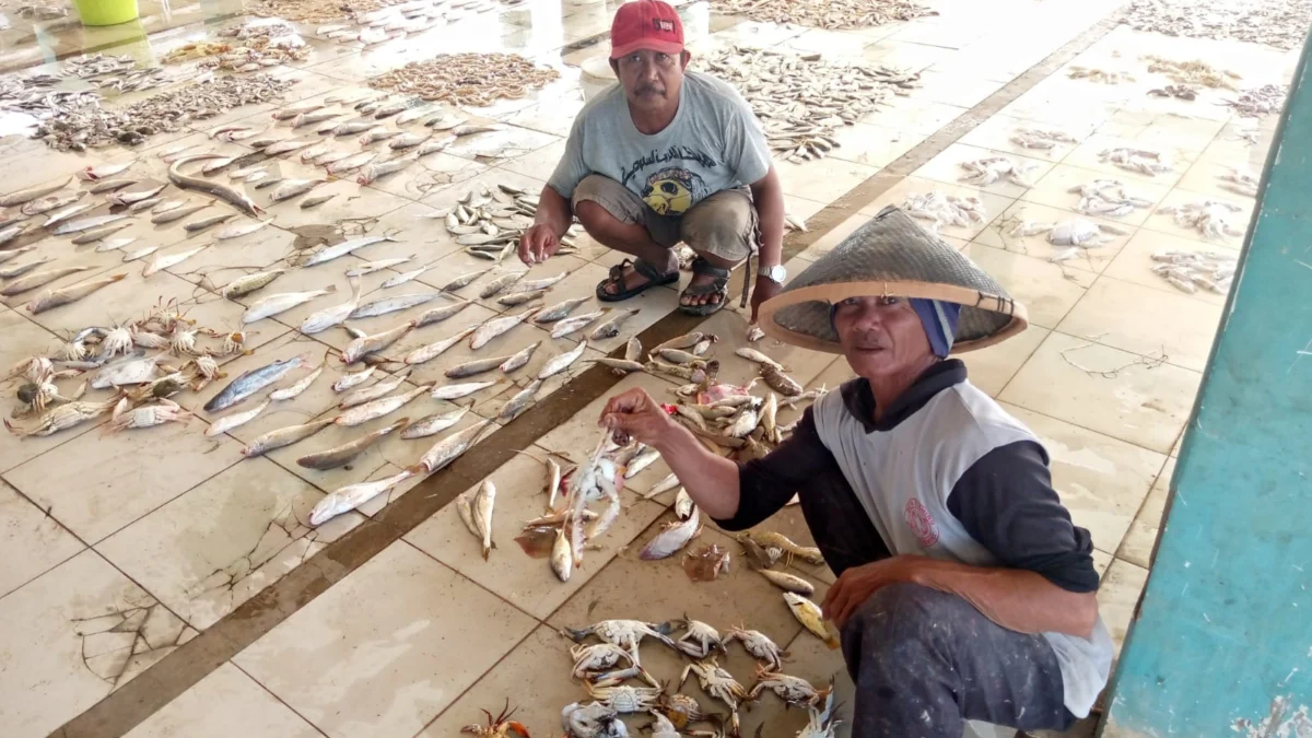 Produksi Ikan Alami Penurunan