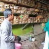 Sukses Usaha Ternak Madu Lebah