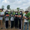 Keren!! Tanam 4.000 Pohon Stoberi di Lahan Gamblung Bisa Hasilkan 15-20 Kg Perhari