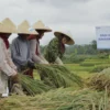 Selama Masa Pandemi, Rp 161 Triliun Kredit Mikro BRI Tersalurkan ke Sektor Pertanian