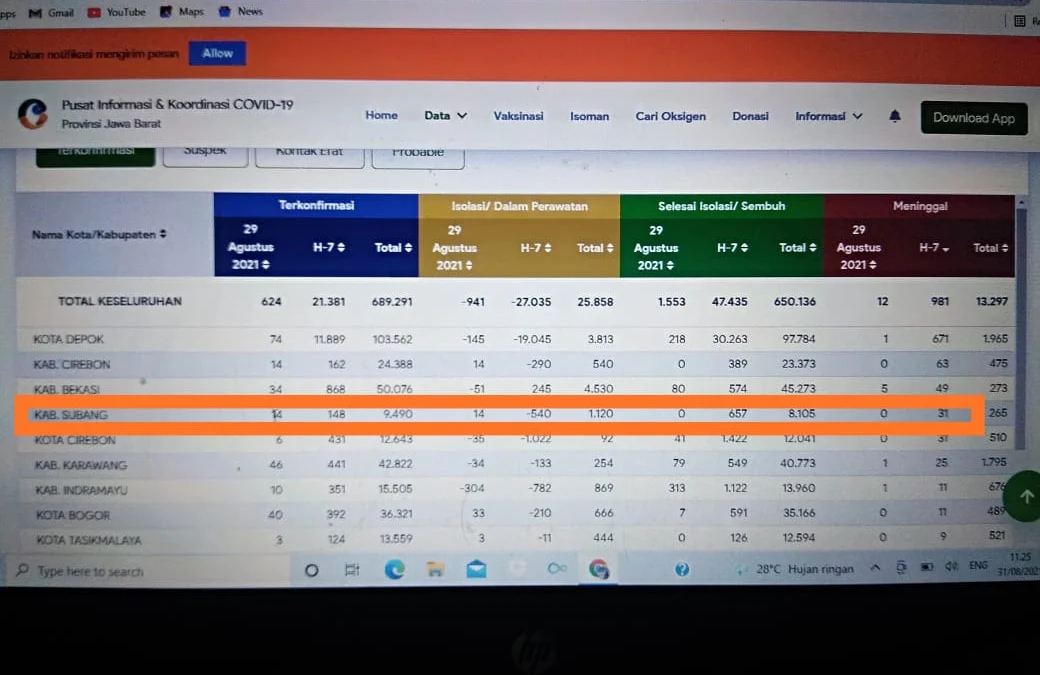 Benarkah Salah Input? Ini Klarifikasi Pikobar terkait Perbedaan Data Covid-19 di Subang