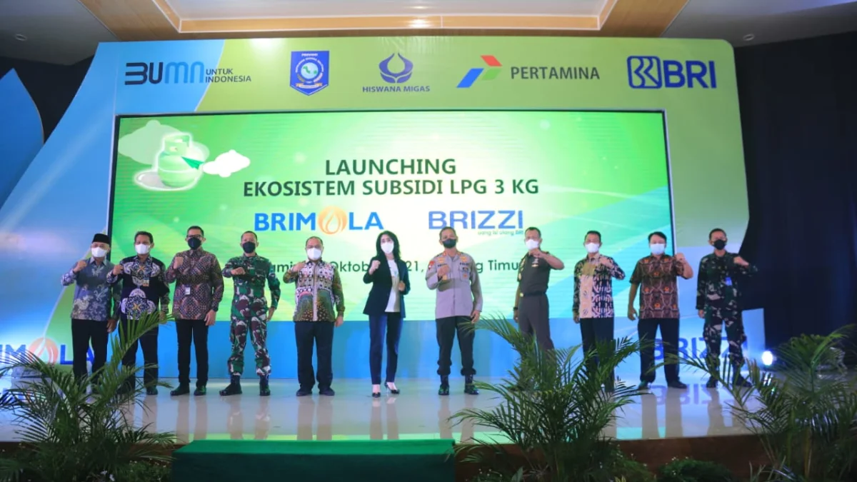 Brizzi LPG Card dan New BRIMOLA, BRI Kenalkan Cara Baru Bayar Subsidi Gas Elpiji 3 Kg