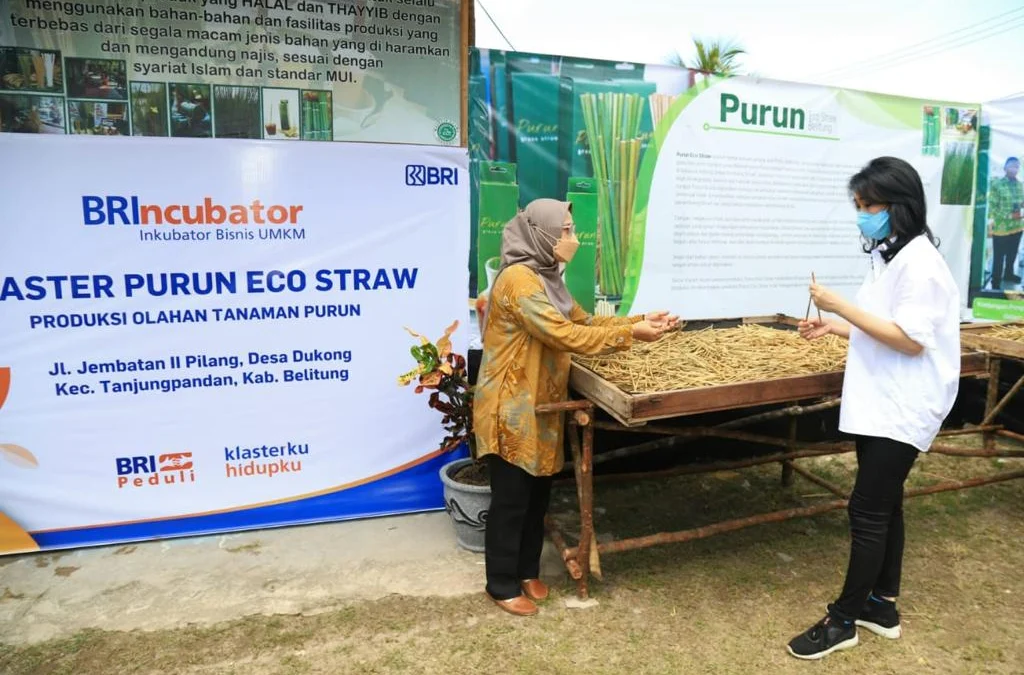 Sulap Rumput Menjadi Sedotan, Nasabah Binaan BRI Ini Jadi Pahlawan Lingkungan dan Masyarakat