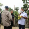 Kucurkan Modal hingga Berikan Pendampingan Usaha, BRI Dorong Petani Jeruk Naik Kelas