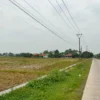 Desa Karanganyar Dilirik Perusahaan Pergudangan