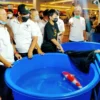 3rd Karawang KOI Show