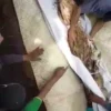 Jenazah Kyai di Subang Sudah 17 Tahun Masih Utuh, Ternyata Ini Alasan Makamnya Dipindahkan! Jenazah Kyai di Subang Sudah 17 Tahun Masih Utuh, Ternyata Ini Alasan Makamnya Dipindahkan!