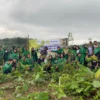 Peduli Lingkungan dan Ketahanan Pangan, Mahasiswa Pertanian Unsub, Kiwari Farm dan Agromuda Bertani Tanam Ratusan Pohon Durian 