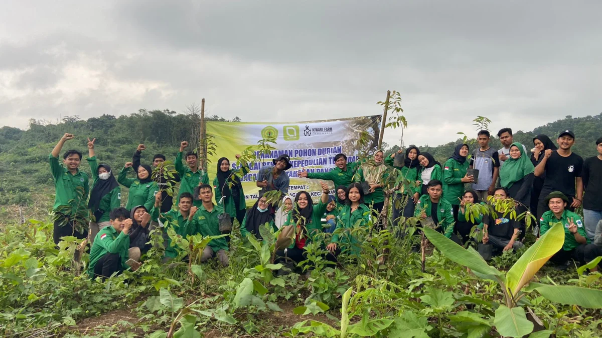 Peduli Lingkungan dan Ketahanan Pangan, Mahasiswa Pertanian Unsub, Kiwari Farm dan Agromuda Bertani Tanam Ratusan Pohon Durian 