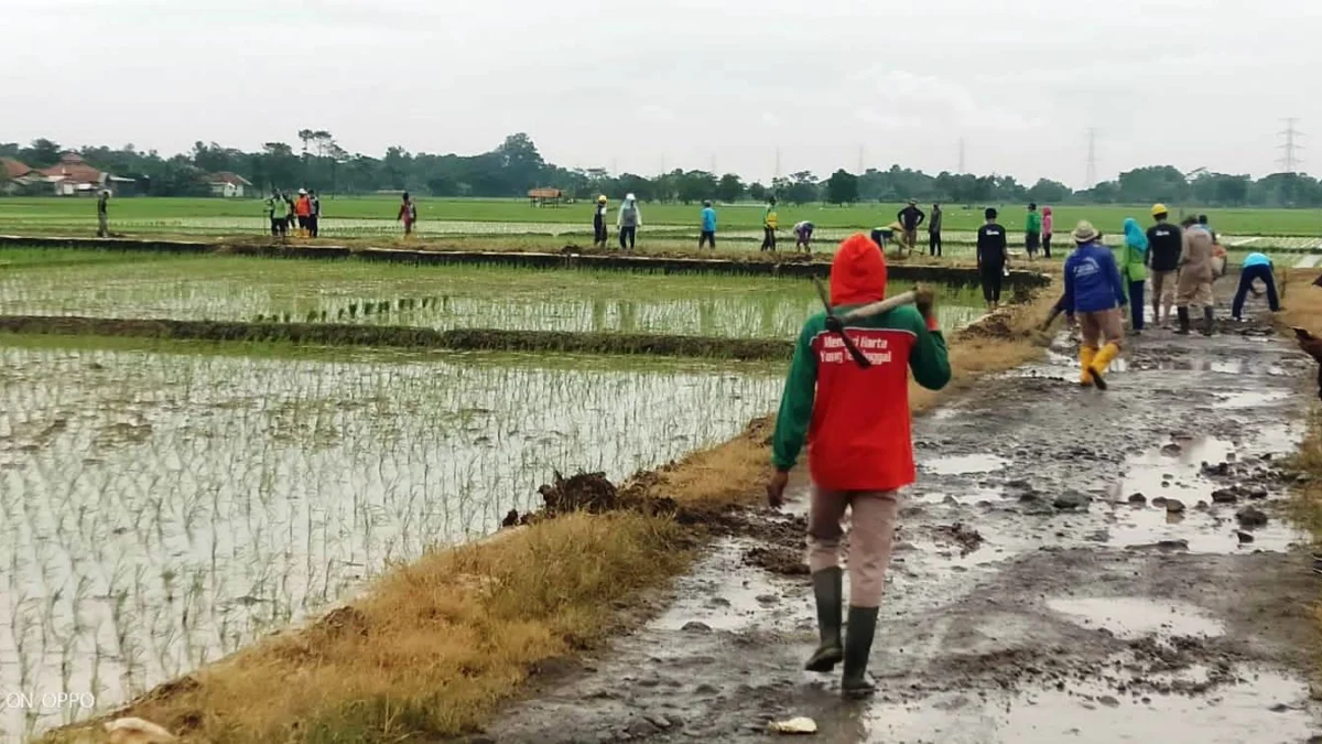 Warga Swadaya Perbaiki Jalan, Padahal Sudah Diusulkan Lewat Musren