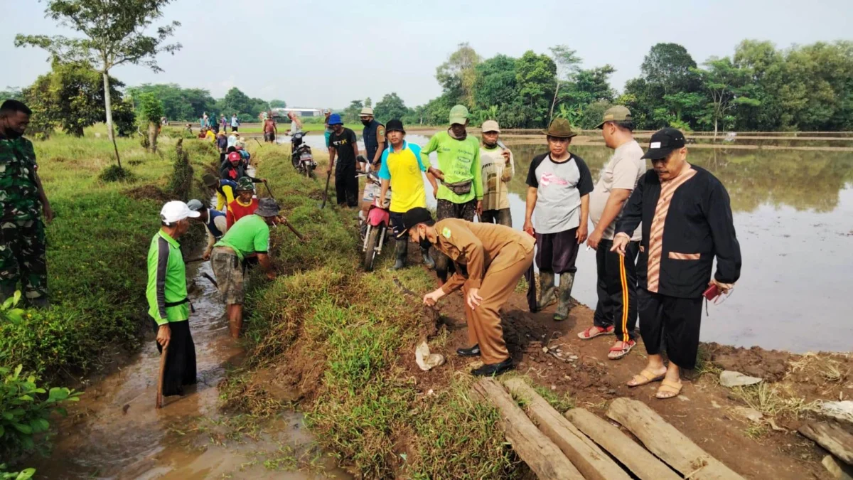 Program Padat Karya Tunai Berdayakan Masyarakat Desa