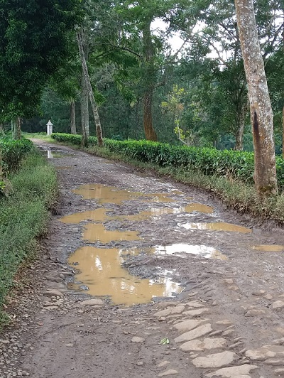 RUSAK BERAT: Jalan Pangheotan-Cipada Kecamatan Cikalongwetan Bandung Barat rusak berat akibat tidak diperbaiki sejak 30 tahun yang lalu.. IST