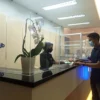 PEMBAYARAN PAJAK: Salah satu wajib pajak saat melakukan pembayaran pajak di teller pelayanan pajak bank bjb di Kantor Pelayanan Pajak Kabupaten Bapenda Bandung Barat. ASEP IMAM MUTAQIN/PASUNDAN EKSPRES