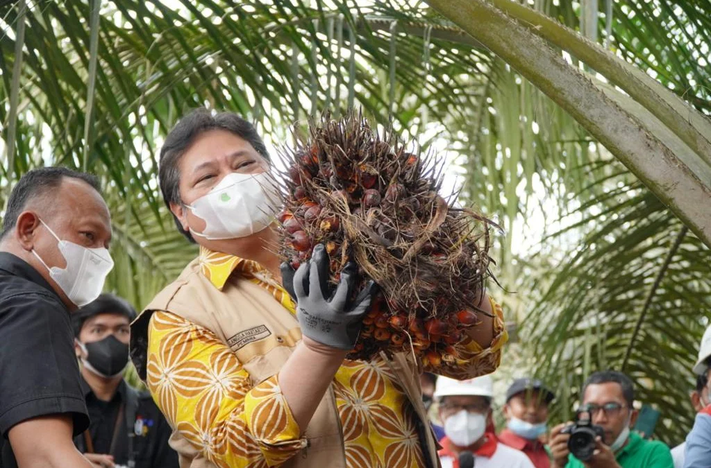 Temui Petani Sawit, Menko Airlangga Tampung Aspirasi Keberlanjutan Program Jokowi