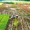 PERTANIAN: Lahan pertanian di Kecamatan Cipunagara hasil dari foto drone Kostratani usai panen, beberapa waktu lalu. IST