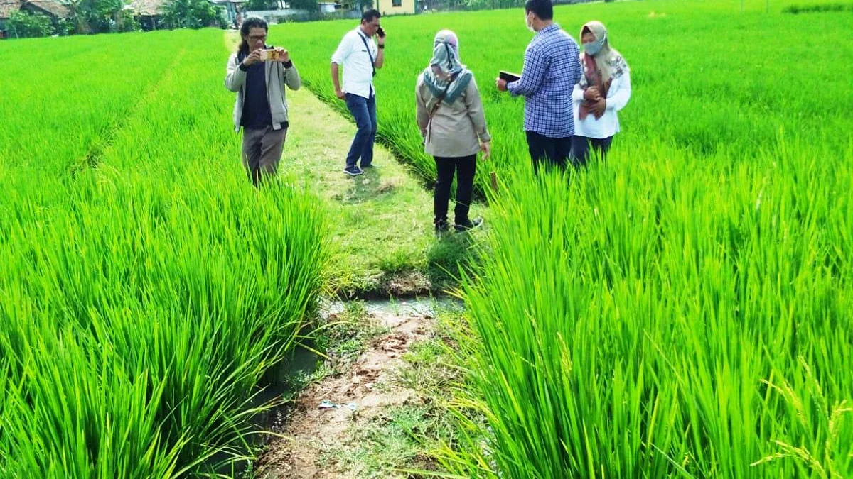 Pembangunan Embung di Pamanukan Tunggu Banprov