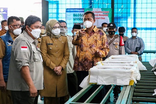 LEPAS EKSPOR: Bupati Purwakarta Anne Ratna Mustika saat berbincang dengan Direktorat Jenderal Hortikultura Kementerian Pertanian Republik Indonesia Prihasto Setyanto pada saat pelepasan ekspor manggis ke Tiongkok. ADAM SUMARTO/PASUNDAN EKSPRES 