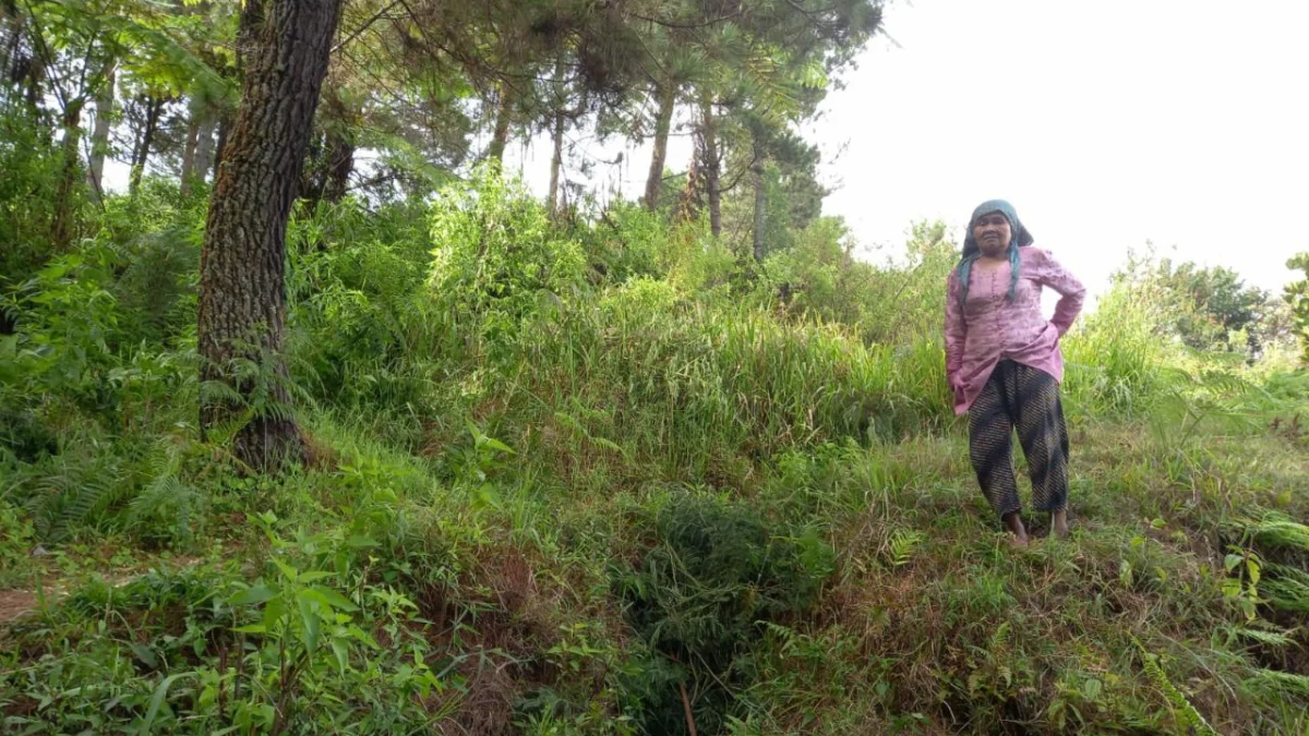 AKSES: Pagar kawat berduri di lokasi Camping Jayagiri Lembang telah dibuka kembali. EKO SETIONO/PASUNDAN EKSPRES