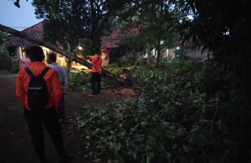 Pohon Tumbang Timpa Rumah di Pagaden, Sebagian Atapnya Sampai Ambrol