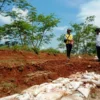 Tanggul Sungai Cipunagara Longsor Akan Segera Diperbaiki, BBWS Sudah Lakukan Survey
