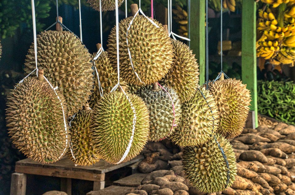 Inilah 5 Manfaat Buah Durian Untuk Kesehatan